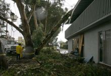 Eucalyptus Falls On IV Apartment