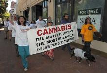 Demonstrators Protest Federal Marijuana Crackdown