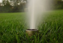 Water Saver: Adjust Watering Schedule for Winter