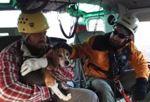 First Responders Rescue Hiker and Dog