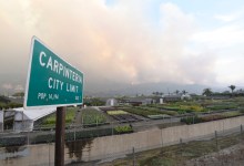 Santa Barbara County Farmers Report $20 Million in Losses from Natural Disasters