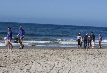 Coastal Cleanup Day a Success