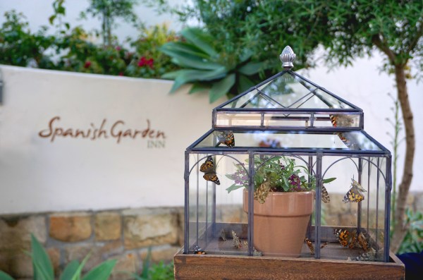 Butterfly Release Ceremony at Spanish Garden Inn - The ...