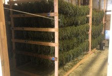 3,000 Pounds of Cannabis Seized near Goleta