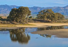 Guided Tour of Coal Oil Point Reserve