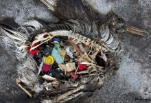 Critical Mass Inaugural Lecture: Plastic’s Tipping Point