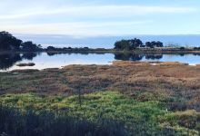 Guided Tour of Coal Oil Point Reserve