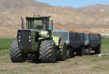 Cuyama Valley Carrot Growers Get the Stick