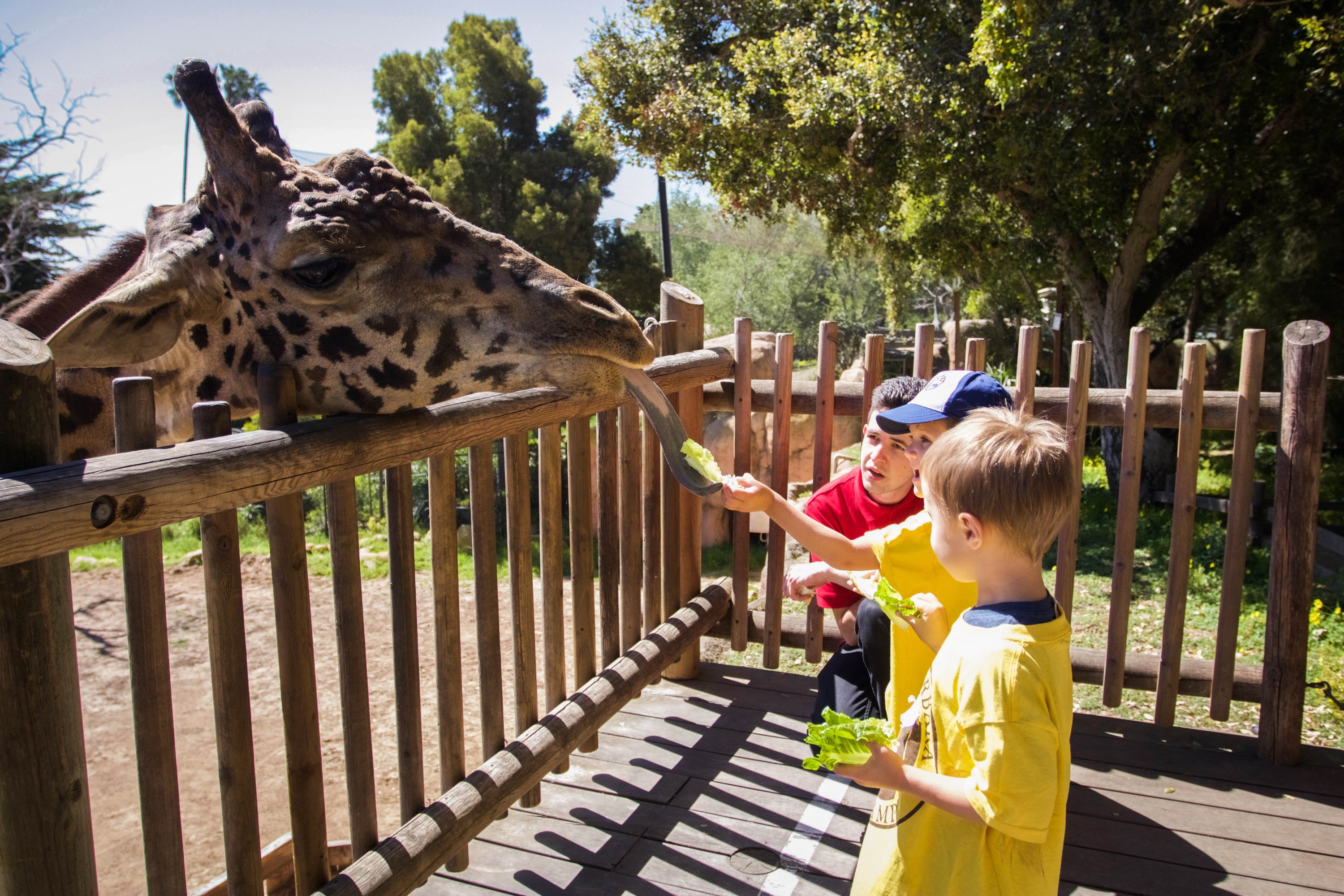 Santa Barbara Zoo to Reopen on June 23 The Santa Barbara Independent