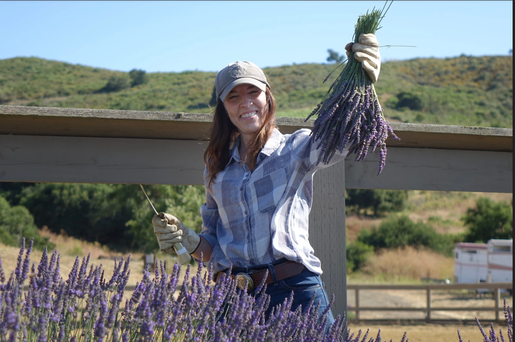 Meet Santa Barbara County's Lavender Lady The Santa Barbara Independent