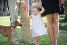 “Holiday Portraits in the Park”