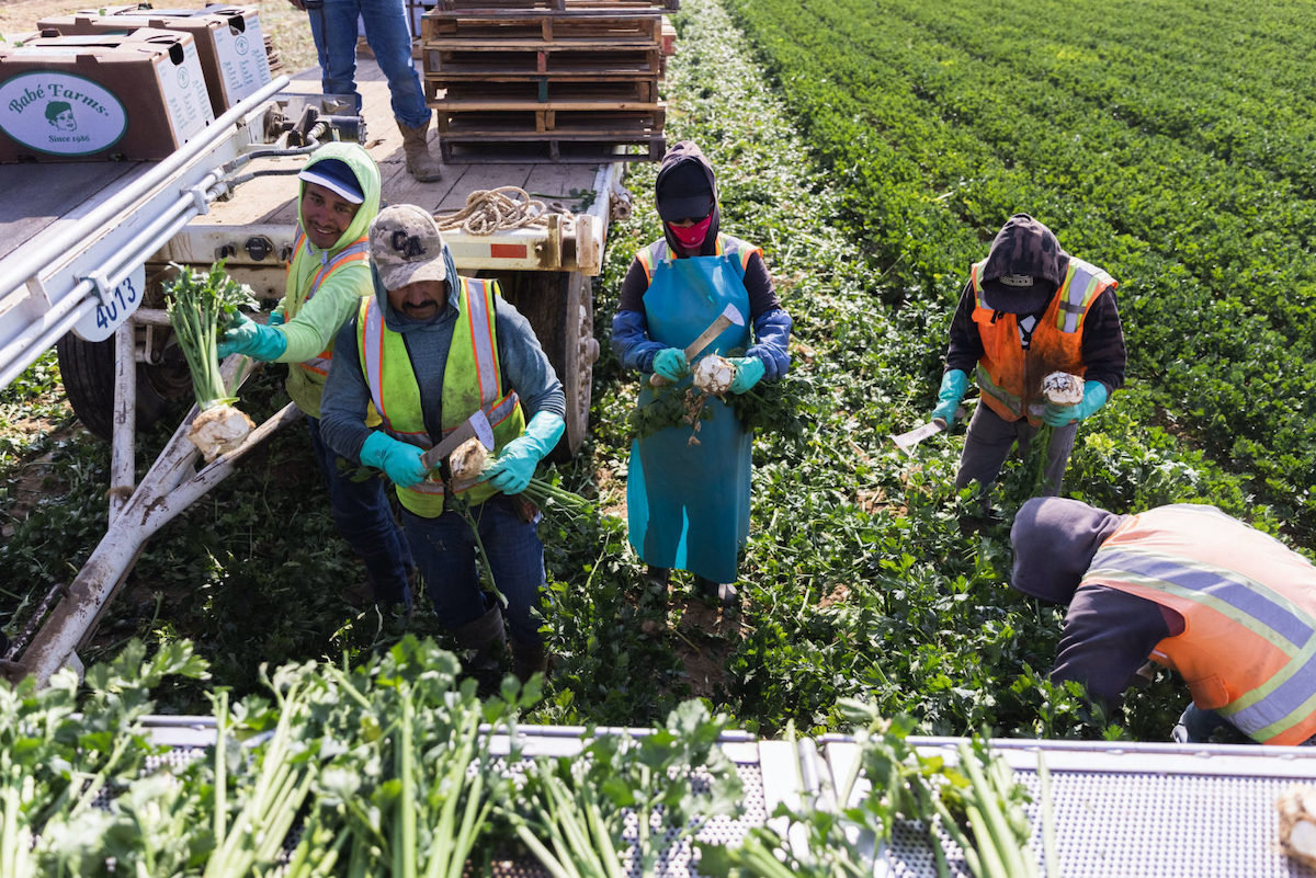 Second-ever Santa Barbara County Farm Day - The Santa Barbara Independent