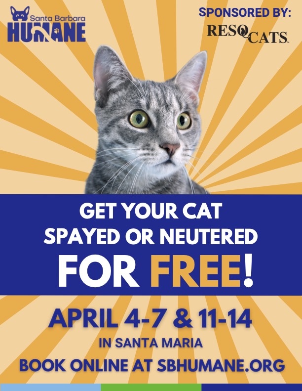 Spay your discount cat for free