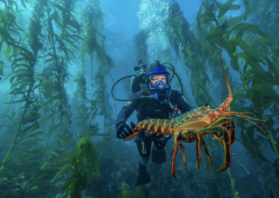 Storymaps Show Proposed Changes to Santa Barbara Marine Protected Areas 