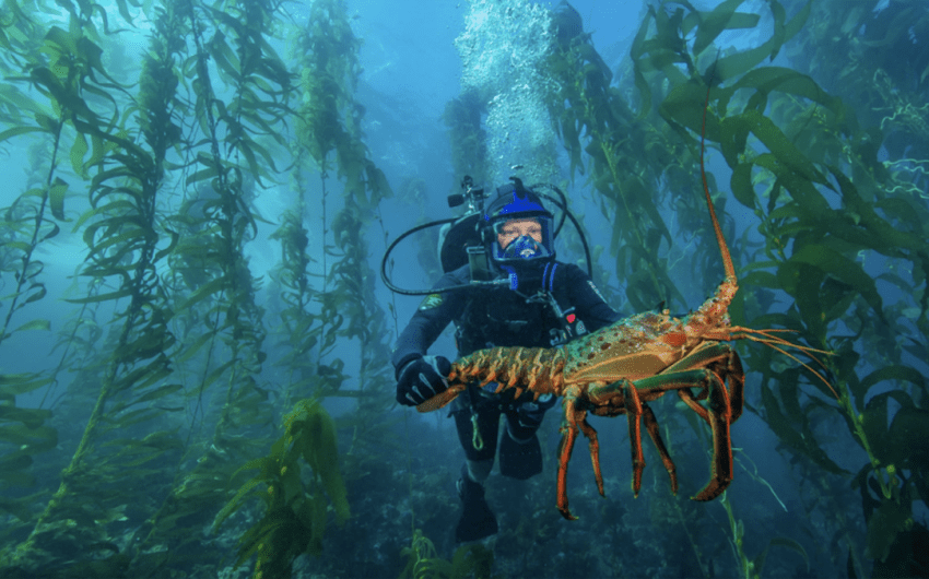 Storymaps Show Proposed Changes to Santa Barbara Marine Protected Areas 