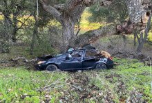 San Luis Obispo Woman, 27, Critically Injured in Tuesday-Morning Car Crash Near Los Alamos