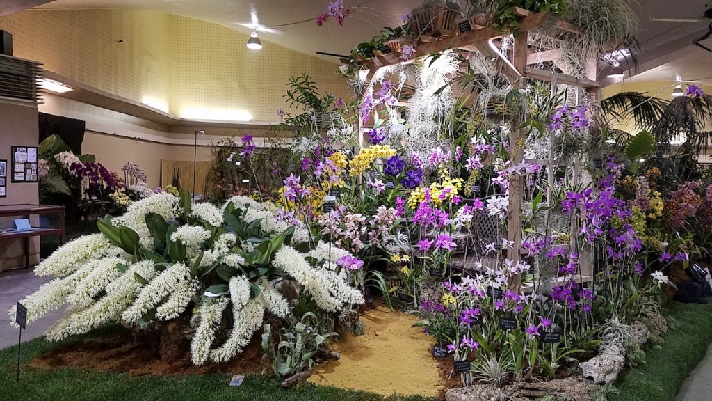 The Santa Barbara International Orchid Show Returns in Full Bloom The