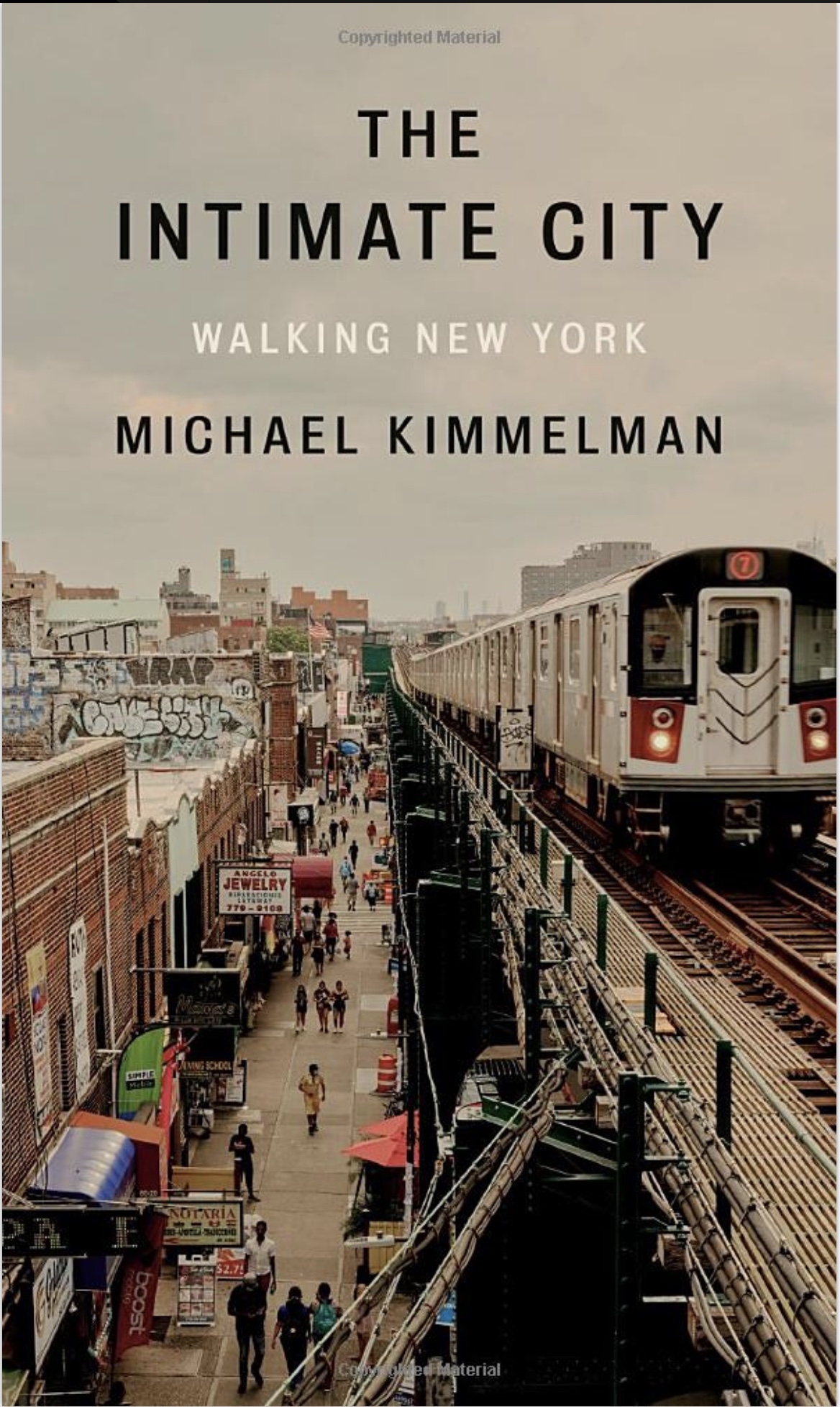 the intimate city walking new york by michael kimmelman
