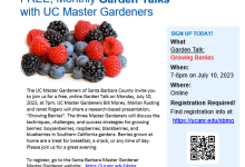 FREE, Monthly Online Garden Talk – Growing Berries