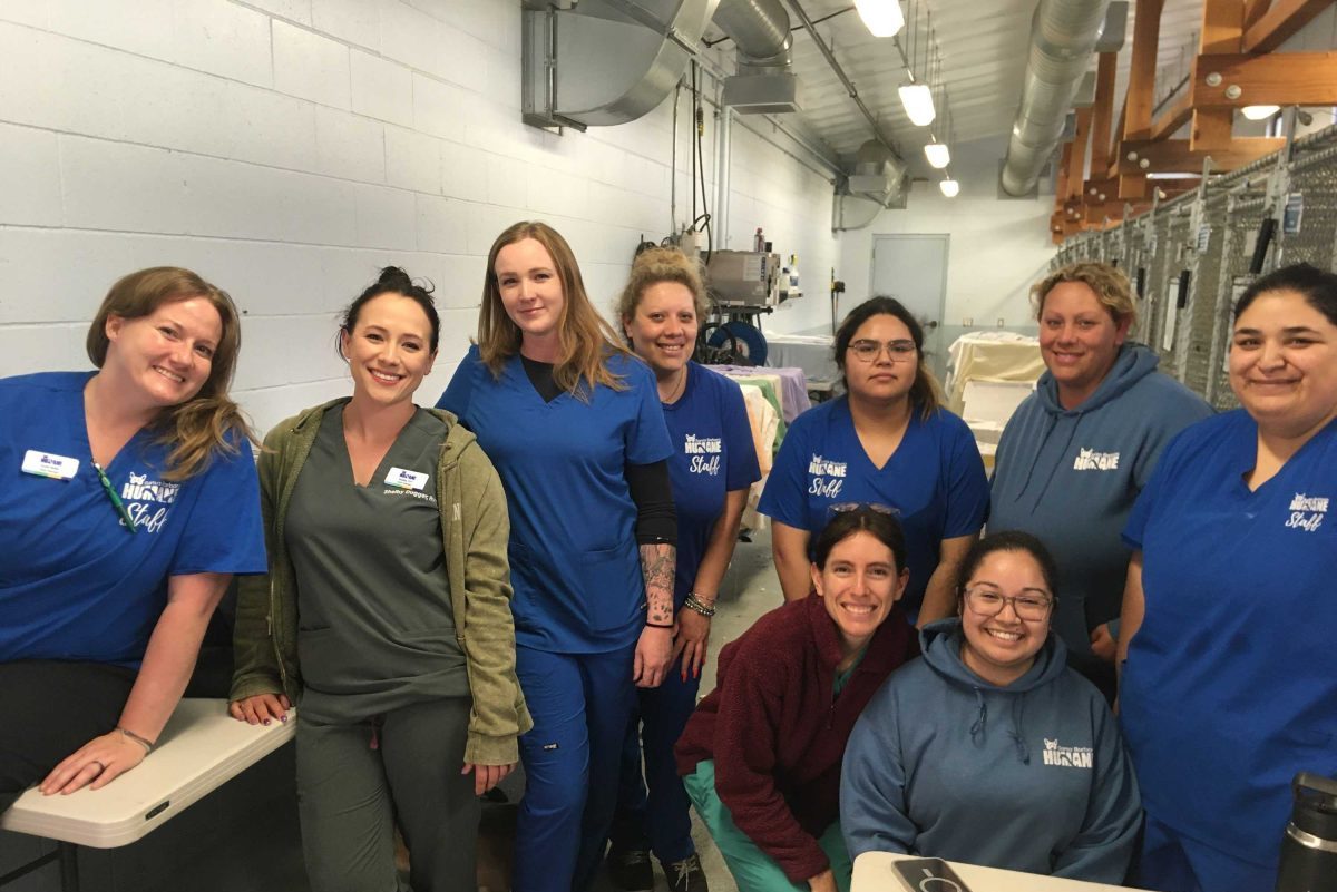 77 Spay & Neuter Surgeries in a Single Day at Santa Barbara Humane