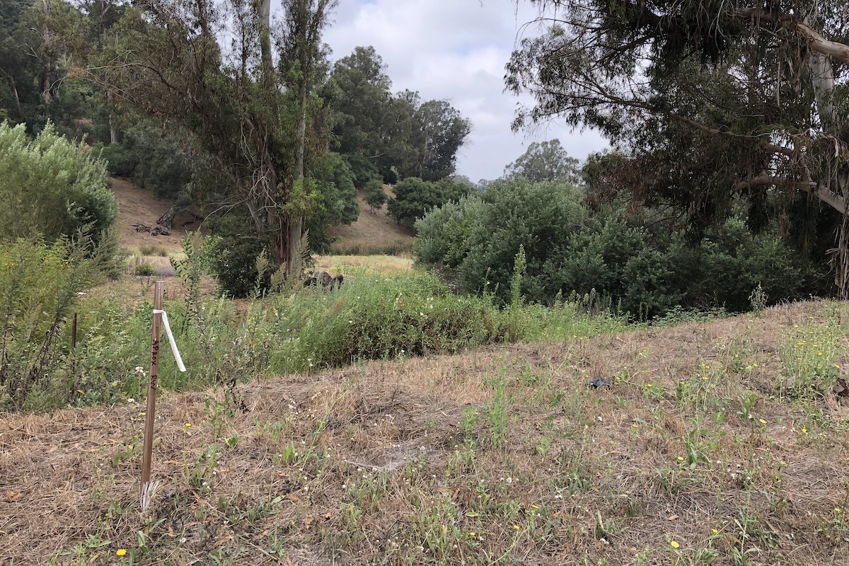 Modoc Multi-Use Path Project Inches Forward - The Santa Barbara Independent