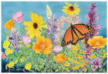 Birds, Blooms & Beautiful Scenes Art Reception