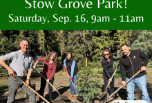 Help Plant 100 Trees at Stow Grove Park