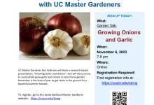 Garden Talks with UC Master Gardeners: Onions and Garlic