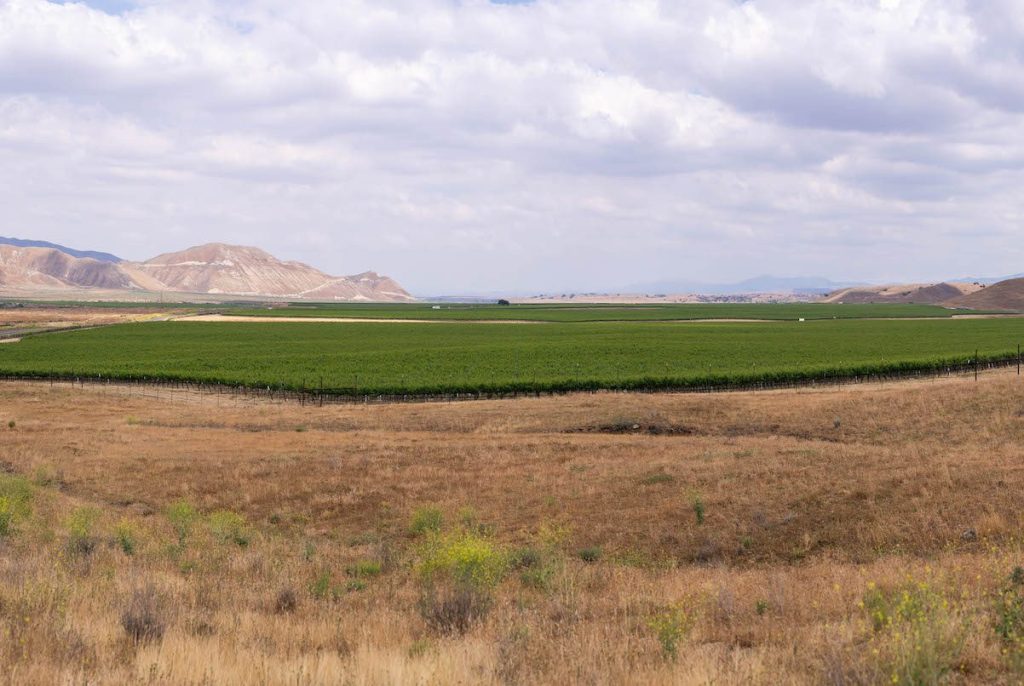 Santa Barbara County Supervisors Decide Cuyama Groundwater Basin Is ...