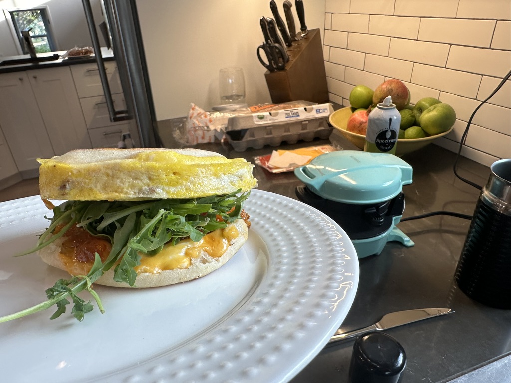 Hamilton Beach Breakfast Sandwich Maker with Count Down Timer