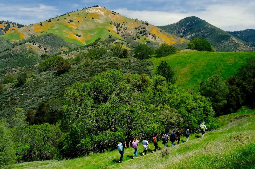 Naturetrack And Wilderness Youth Project Receive Nearly 400000 In State Grants The Santa 