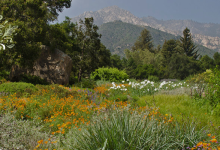 Pathfinders in the Garden