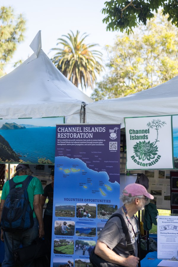 Festival Fun at Santa Barbara Earth Day The Santa Barbara Independent