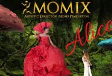 MOMIX: ALICE