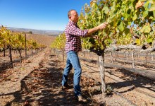 Bidding Adieu to Bien Nacido’s Vineyard Guru