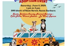 Dog Days of Summer Adoption Event