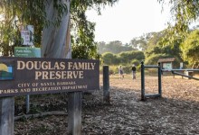 Santa Barbara Asks for Community Voices on Douglas Family Preserve Improvements