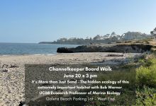 It’s More than Just Sand – Ecology Board Walk