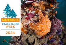 Celebrate California State Parks Week