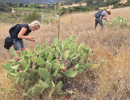 UC Santa Barbara Art Professor Lisa Jevbratt Explores History of Plants Through Textiles