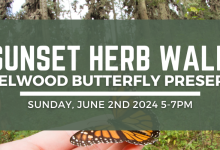 Herb Walk at Elwood Butterfly Preserve