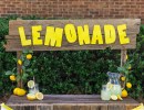 Alex’s Lemonade Stand Comes to Los Olivos