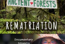 Get Inspired by the Rosa Parks of the Forest