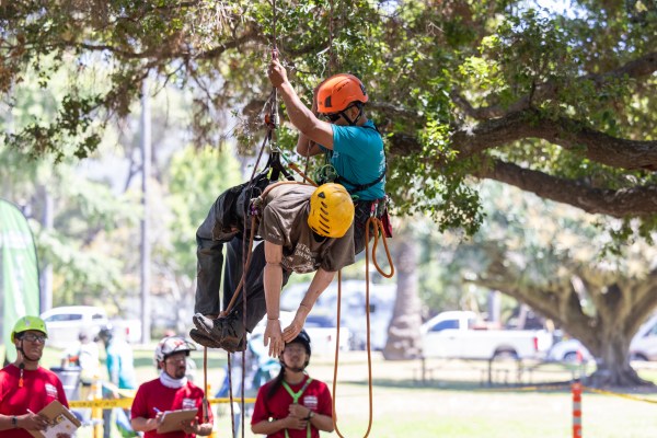 Tree-Hugging Their Way to the Top - The Santa Barbara Independent
