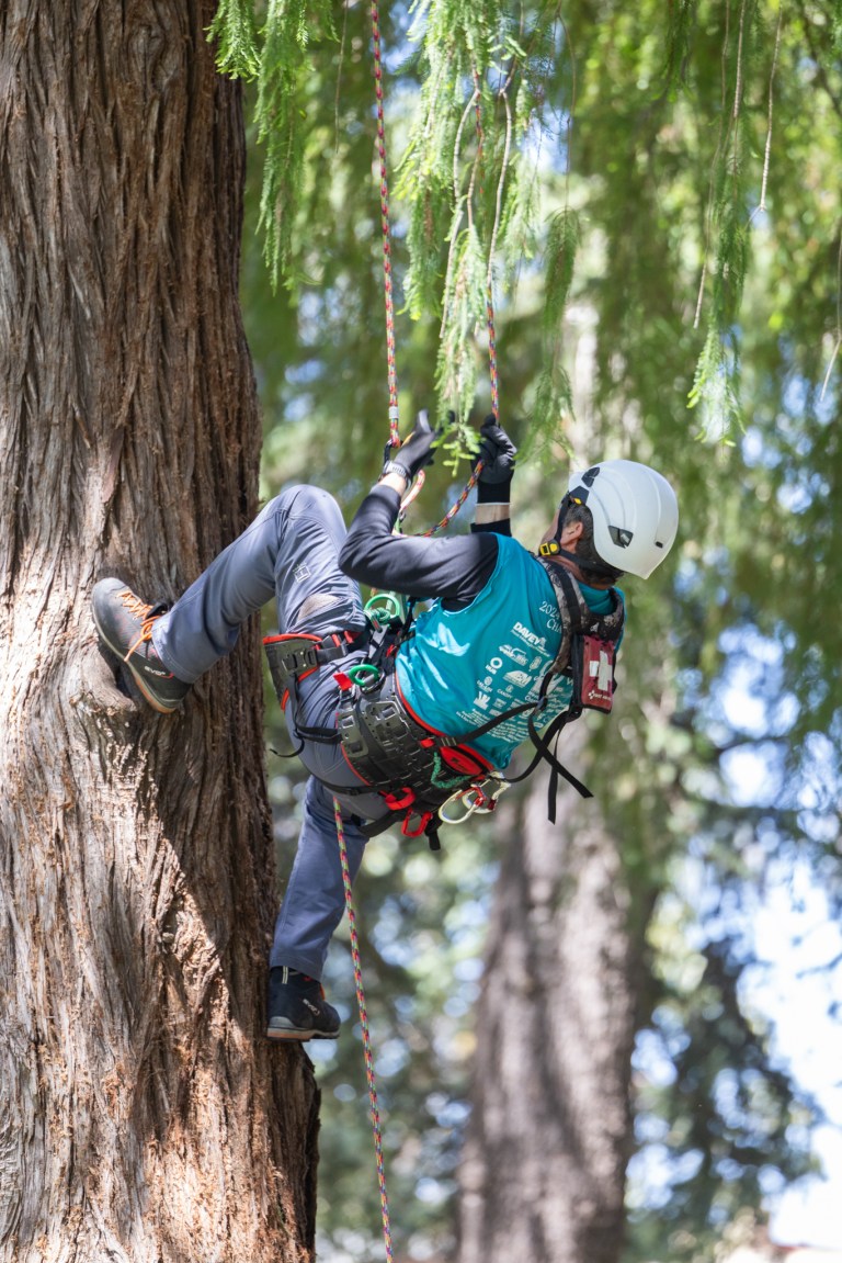 Tree-Hugging Their Way to the Top - The Santa Barbara Independent
