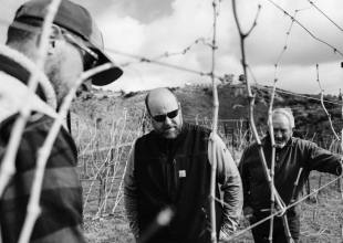 Ojai Mountain Estate’s Towering Terroir