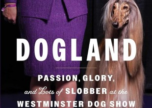 Book Review | ‘Dogland: Passion, Glory, and Lots of Slobber at the Westminster Dog Show’ by Tommy Tomlinson