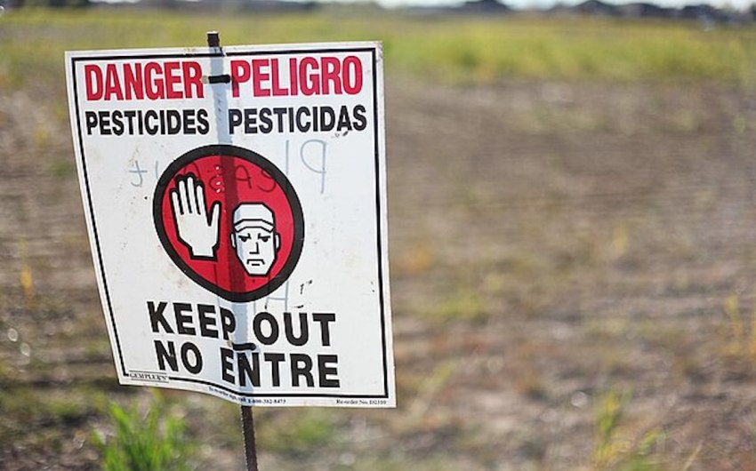 Toxic Herbicide Endangering Pregnant Farmworkers and Babies 