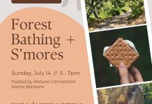 Summer Sweetness: Forest Bathing + S’mores