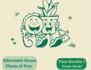 Plant Sale – Ojai Plant Works Greenhouse